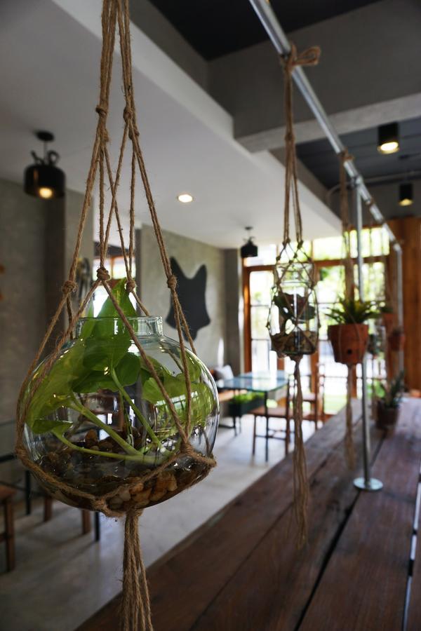 Hansa House Couette-café 3*